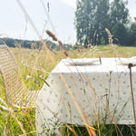 Linen tablecloth Women - notperfectlinen