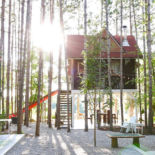 Who say tree forts are only for kids? - notPERFECTLINEN