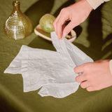 Linen Napkins Set of 2